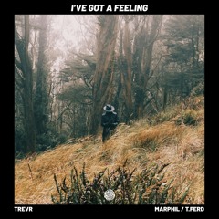 I've Got A Feeling (feat. Marphil, T.Ferd)