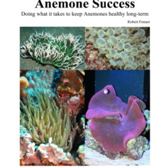 VIEW EPUB 💓 Success With Anemones: Doing what it takes to keep Anemones healthy long