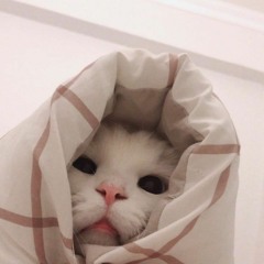 Chuyện Của Mùa Đông