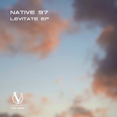 Native 97 - Levitate (Eric De Man's The Bass Is Silent Remix) Preview - Visillusion VS-020