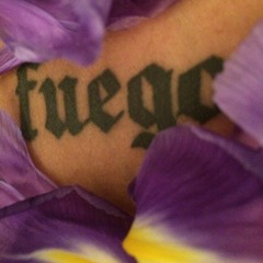 FUEGO 001 - Roses for Valentine's