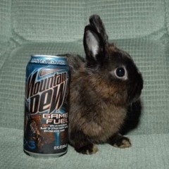 𝕯𝖚𝖇𝖘𝖙𝖊𝖕 - 1