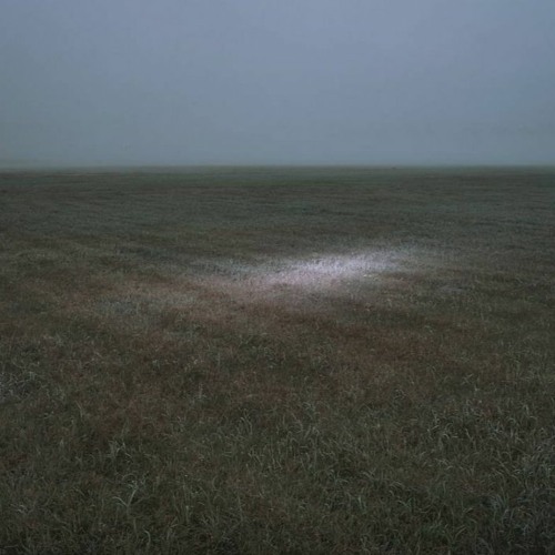 [Free99] - Im Free 4sale Style