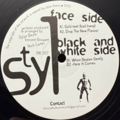 S.T.Y.L - When Beaten Gently
