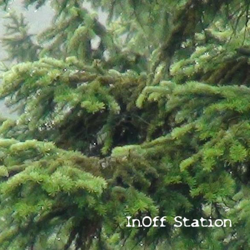 Speak only if you know