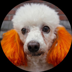 YSN - IT WAS YOU FEAT. MANENO