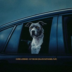 Chris Lorenzo - In This Bih (Dillon Nathaniel Flip)