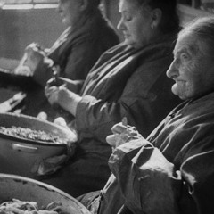 Wie wat bewaart 17 1 2025 | Doc: Nesjomme | Wereldmuseum: Martial Arts