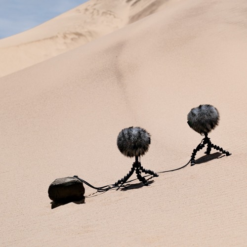 Skeleton Coast - Sand Dune In Moderate Wind
