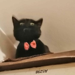 WhiT & Alex - Din viitor