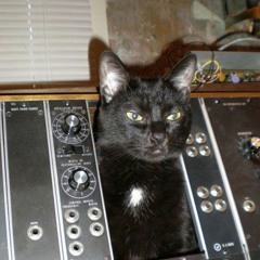 shoegaze (lost media)