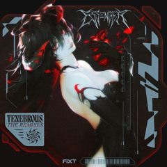 Tenebrous (Becko Remix) (Instrumental)