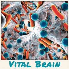 Vital Brain