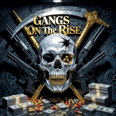 Gangs On the Rise!