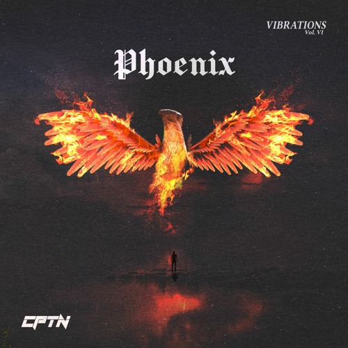 Vibrations Vol. VI Phoenix