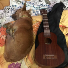 Nueva grabación _6 de mayo ´25