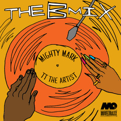 Bird Flu (Mighty Mark & TT The Artist Remix)