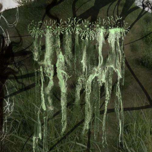 whiskers (1000 strings)