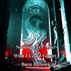 Wish I Could Forget X Nothing Ever After X Burn It Down (Make it Bump x Karmaxis Mashup)