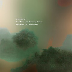 NAIND AR-32 Blear Moon - 02 - Swarming Ghosts