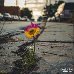 MacNice - Watch Us Grow (Haters Hate)