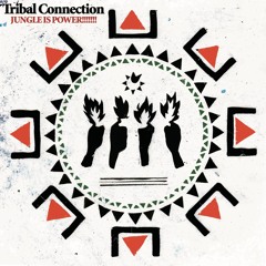 Jungle Vinyl Mix by Tenmus(Tribal Connection)