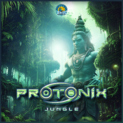 Protonix - DMT | Out NOW on BMSS Records