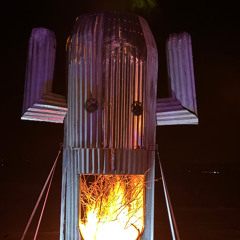 Saguaro Man EMP Party - Erik Nelson