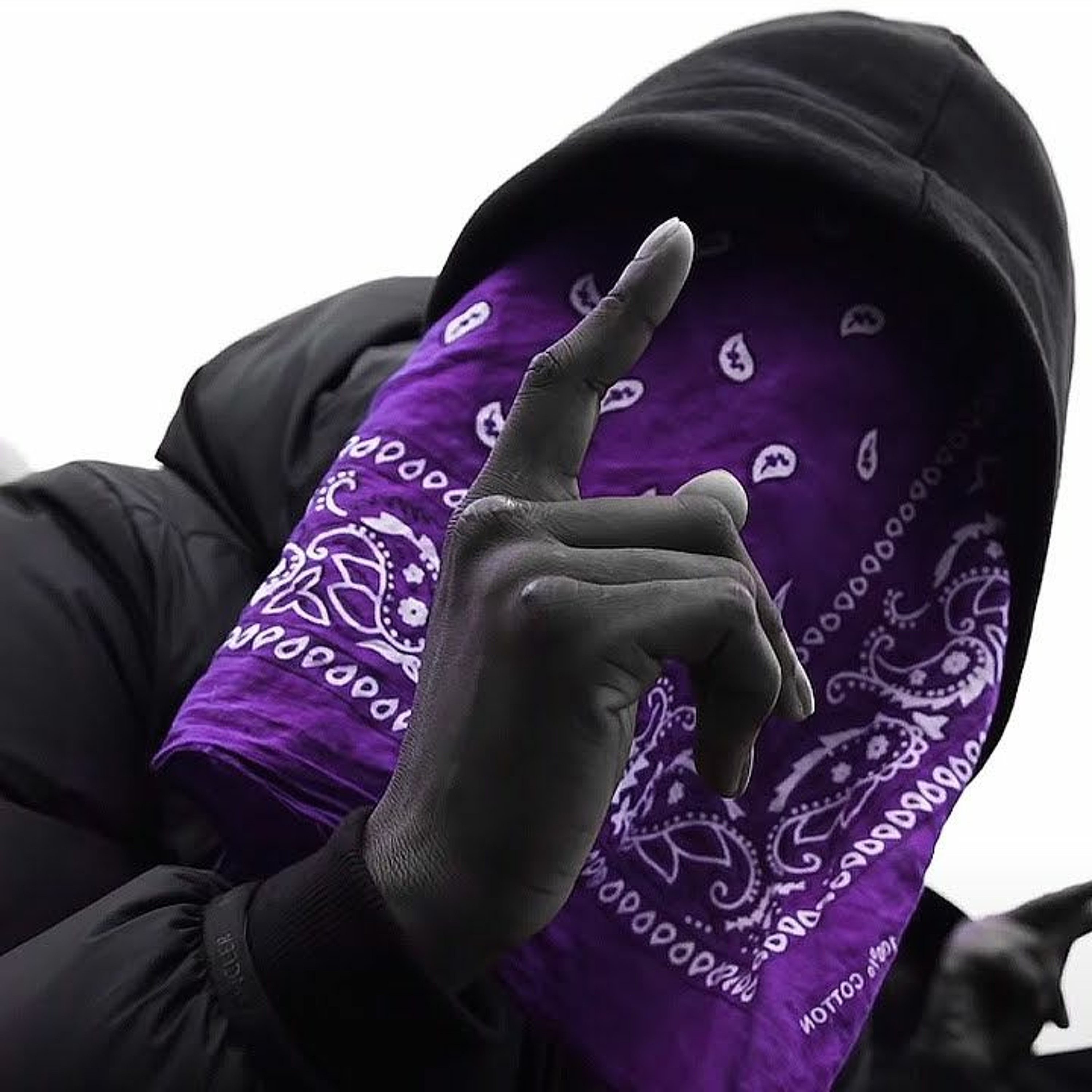 CrazyMelodyrd