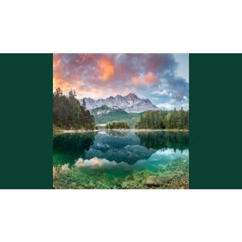 Mint Cow Tracks - roblox