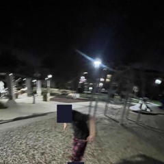 1. indiol - Victory park