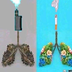 я больше не верю в сказки @curxxedtaimana