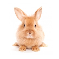 пиздатые треки