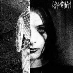 Leviathan- Proportions All Wrong
