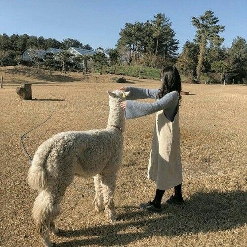 Daydreamer - 7 7 : 6 8 ( 2020 )