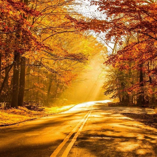Autumn Tint of Gold