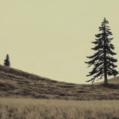 Aftermath of the Meltdowns