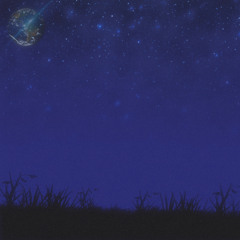 midnight bloom
