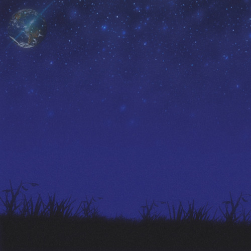 midnight bloom