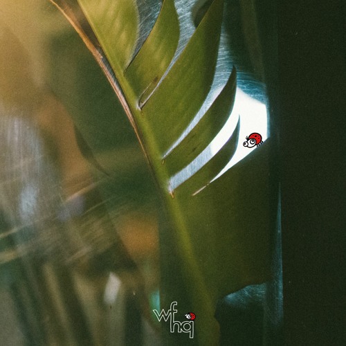 Botnek & GIANT - Ladybug