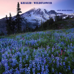 Khalid - Wildflower (Jeff Jones Remix)