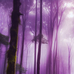 company - prod. fantom