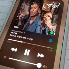 Fly - davus