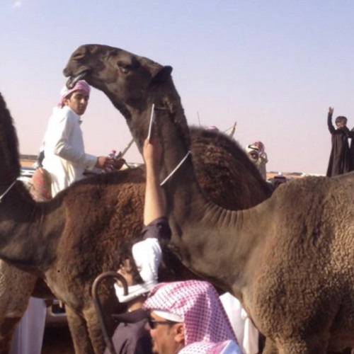 ‎⁨مجدنا يامطير مايمحاه ماحي