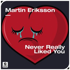 Martin Eriksson - Never Really Liked You