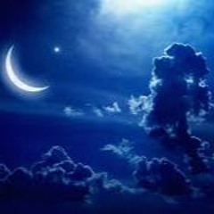 The night