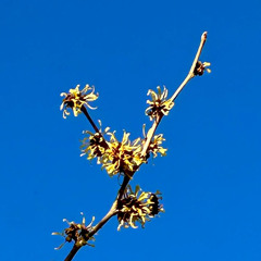 winter sun instrumental demo