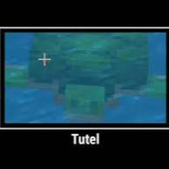 tutel 🐢