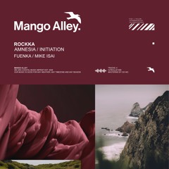 Premiere: Rockka - Amnesia (Fuenka Remix) [Mango Alley]