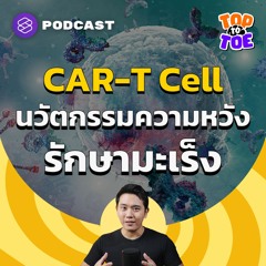 Top to Toe EP.55 CAR T-Cell นวัตกรรมความหวังรักษาโรคมะเร็ง
